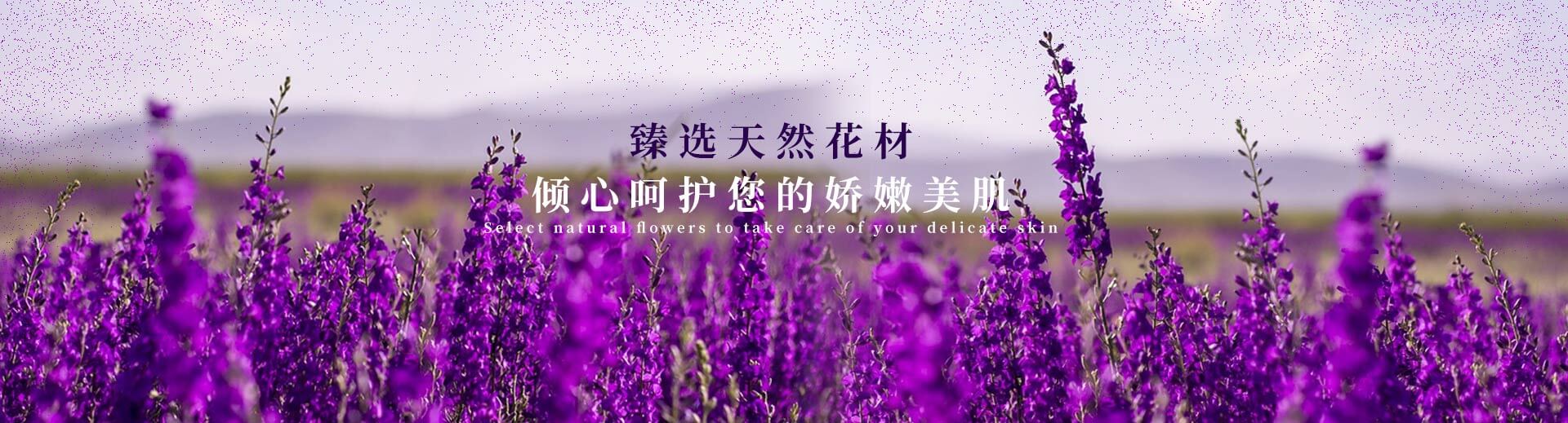智能床墊廠家,天然乳膠床墊,酒店床墊生產廠家